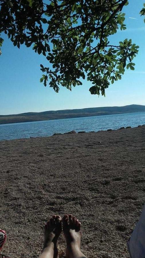Apartman Larus ستاريغغاد باكلينتسا المظهر الخارجي الصورة